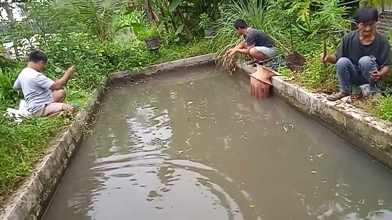 Gilok2 YouTube ber e melu mancing 😂