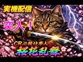 【実機配信】CR 必殺仕事人 桜花乱舞｜ 桜の下で交わした、最後の約束！【ライブ配信】