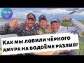 Как мы ловили чёрного амура?