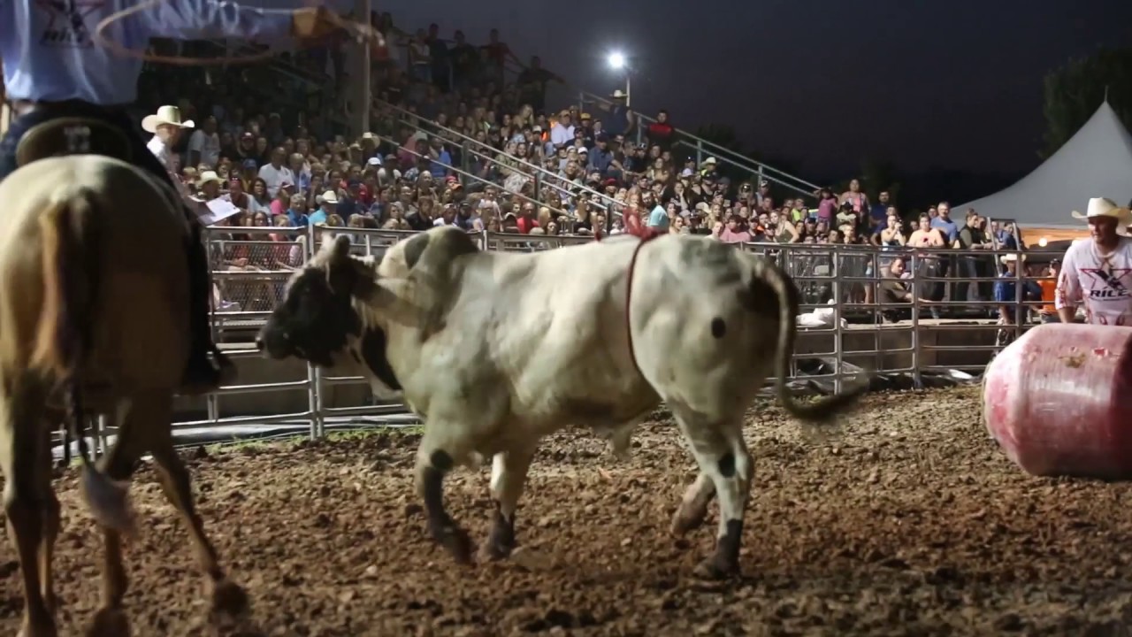FDL County Fair Bull Riding - YouTube