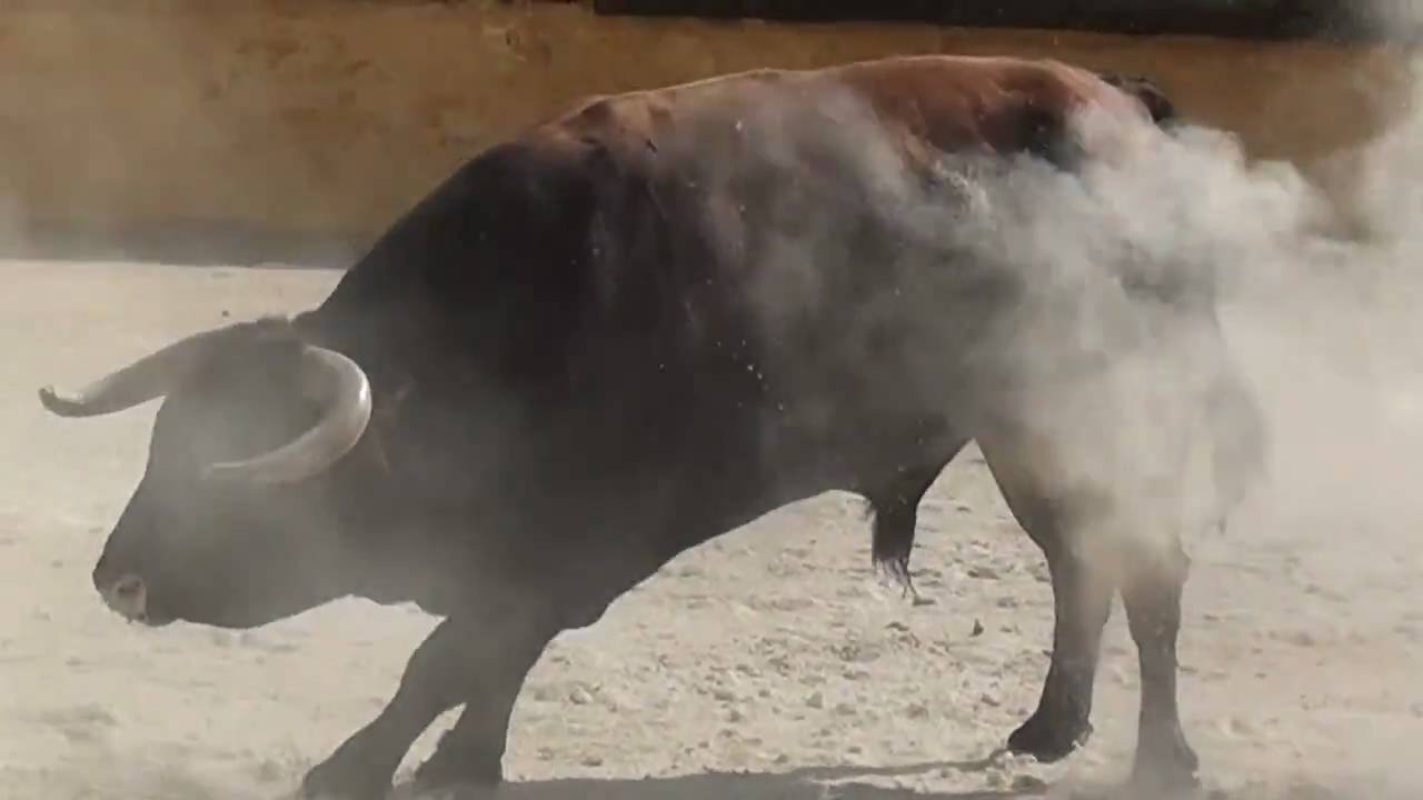 ar drone 2.0 battery AR.Drone attack #2 - Bull Fight