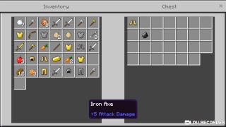 Mineplex PE after killing some memeruns