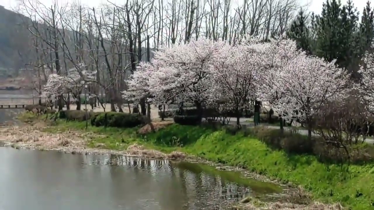 마음을 차분히 가라앉혀주는 Tim mac brian -  Le chant du roseau