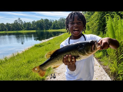 KID CATCH 3 BASS FISH IN 10 MINUTES USING SENKO WORMS ONLY🐟✅