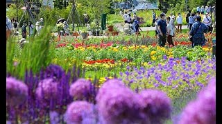 花と緑の祭典が開幕