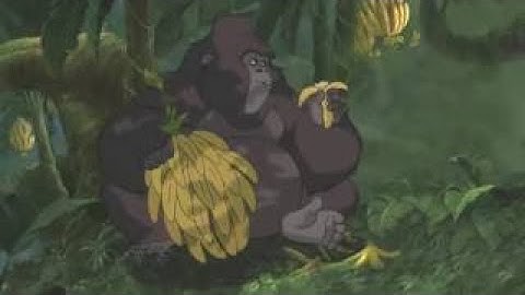 Tarzan - Terk And Tantor Lure Kerchak Away
