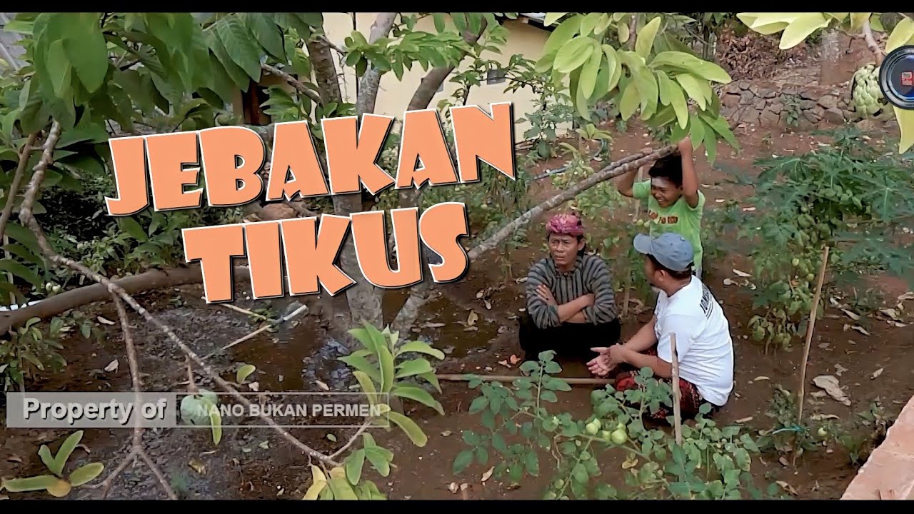 JEBAKAN TIKUS
