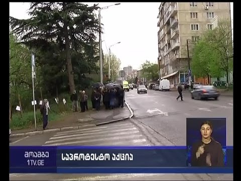 საპროტესტო აქცია - ნუცუბიძეზე ხეების მოჭრის ფაქტი გააპროტესტეს