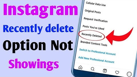 Instagram Recently Delete Option Not Showing | Instagram Me Recently Delete Option Nahi Aa Raha Hai
