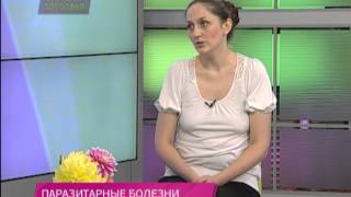 Школа здоровья 14/09/2013 Паразитарные болезни ушей у кошек и собак(Паразиты, ушные клещи - одна из причин заболеваний, которыми страдают наши четвероногие друзья. Когда у..., 2013-09-13T01:26:00.000Z)