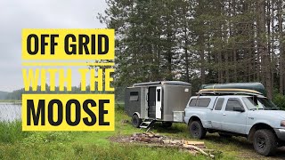 Wilderness Wanderers: Off-Road Cargo Trailer Camping with Moose Encounter