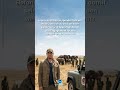 DiCaprio Donates $1M to Save Elephants