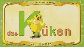 Multipedia Der Tiere. Buchstabe K - Das Küken