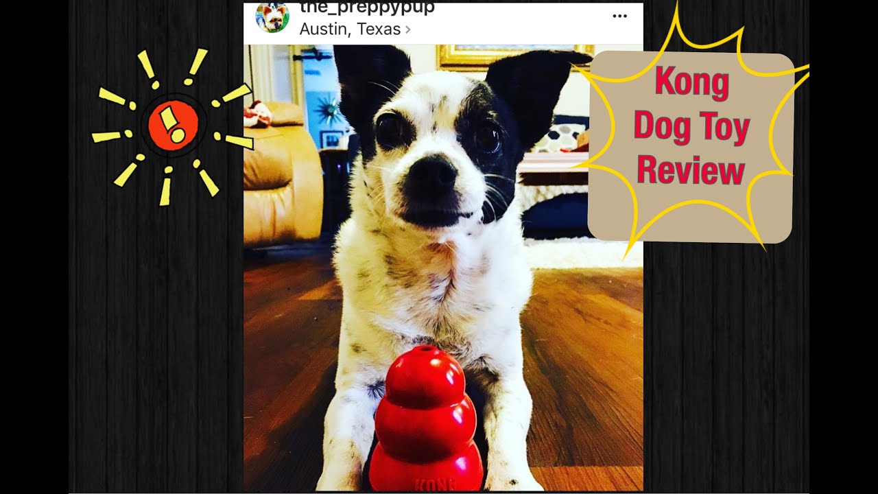 Kong Dog Toy Review YouTube