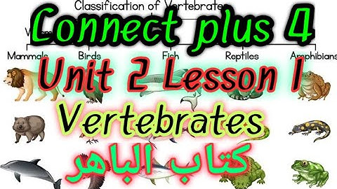 connect plus primary 4 U2 L 1 كونكت بلس رابعه ابتدائي الوحده الثانيه الدرس الاول من كتاب الباهر _