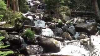 Calypso Falls in the Wild Basin area of Rocky Mountain National Park
