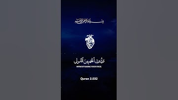 تلاوة مباركة بصوت جميل #quran #اكسبلور  #ياسر_الدوسري  #القران_الكريم #quran  #islamic