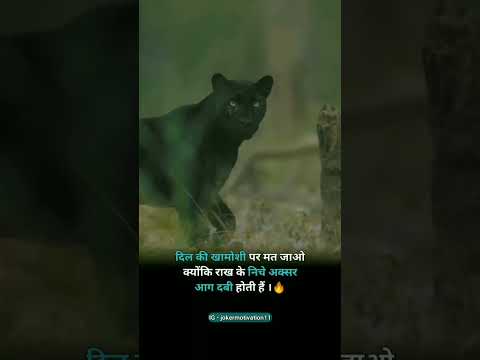 human is the very best friend  instagram join to gaji 6503