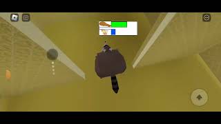 soy un MPACHE EN ROBLOX (termino en los backrooms) Raccoon simulator