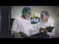 Histoire de russite arla foods  bahren