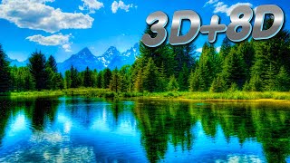3D+8D Beautiful music for relaxation, meditation and sleep. Live and realistic FOREST SOUND