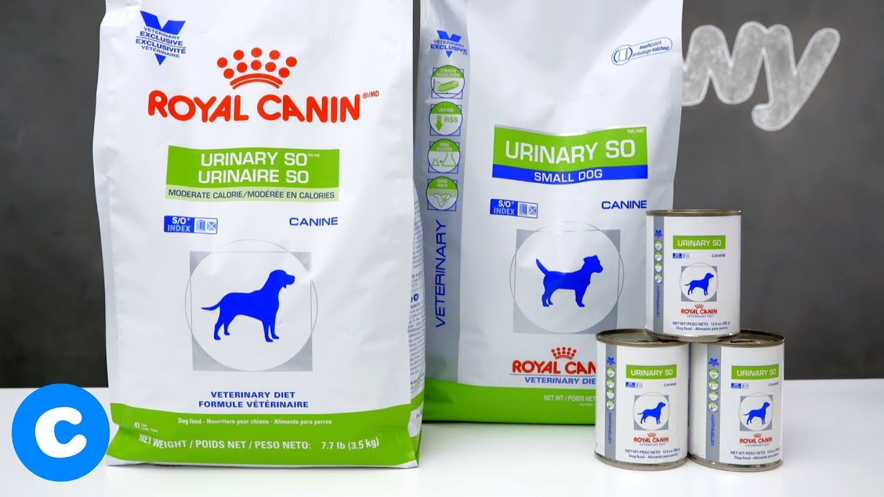 Royal Canin Prescription Urinary SO Dog Food - YouTube