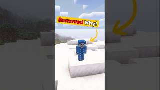 Why Minecraft BANNED the illusioner!