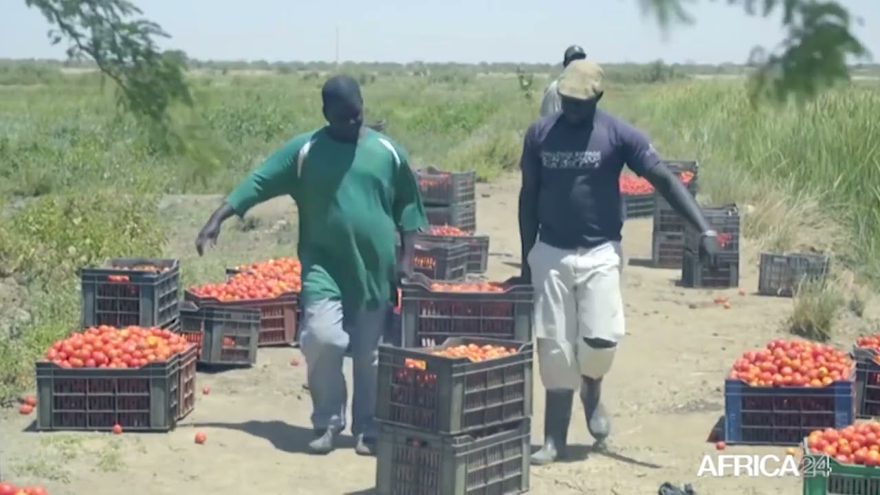 Sénégal : la production agricole dans un contexte de changement climatique