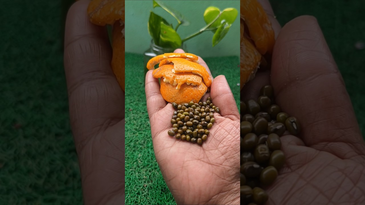 glowing skin facepack skin brightening mask