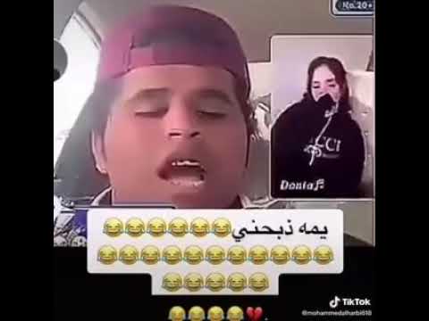 تروك الدبيه عنيد ولا يمشي سيدا
