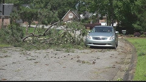 Chapin residents spend the day cleaning up storm damage
