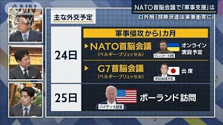 注目はNATO首脳会議「行き過ぎた支援は生物兵器使用を誘発」専門家解説(2022年3月23日)