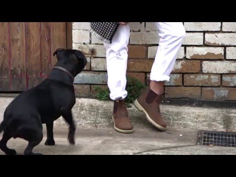 factory seconds blundstones