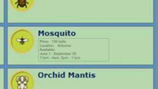 Animal Crossing City Folk Bug Guide