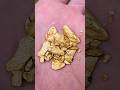 Diver Finds $3500 Of Gold Nuggets In Bedrock Crack!