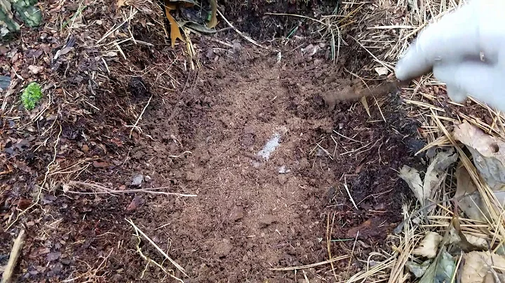 Why I use peat moss when trapping