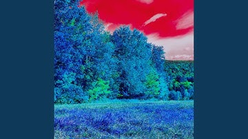 Thrilling Backdrops for Studying Thought