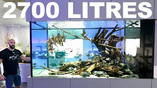 2700 litre / 700 gal Aquarium: AMAZING Hardscape Concept w/ STUNNING FISH!