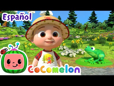 Vamos al estanque | ¡CoComelon! | Canciones Infantiles en Español Latino