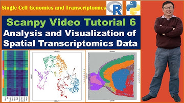 Scanpy Video Tutorial 6: Analysis and Visualization of Spatial Transcriptomics Data