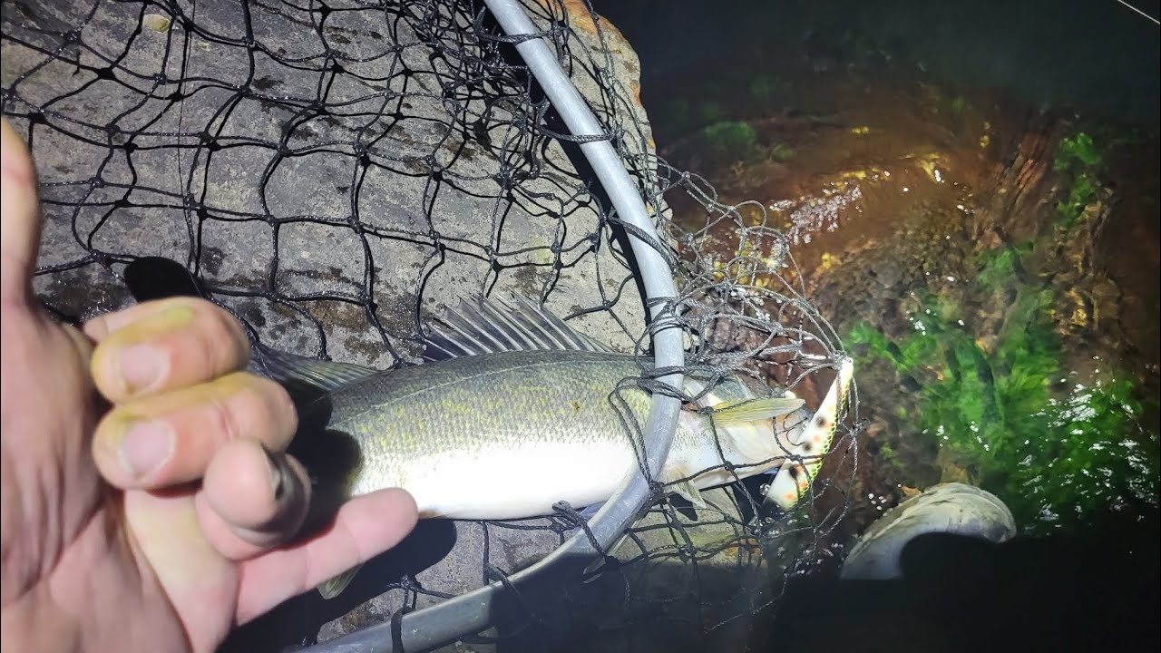 Lake Erie shoreline fishing report YouTube