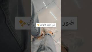 صور قطط كأنها لك