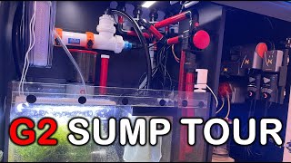 What's in my Sump? Full Tour and Review of the Red Sea G2 Sump.