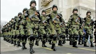 S-a marit armata (Cover)