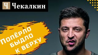 Зе-каналізація. Попёрло быдло к верху | Політфанклуб