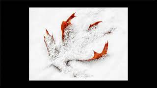 Download Lagu Macro Winter Blahs MP3