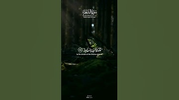 سورة الشعراء بصوت ياسر الدوسري 🍃