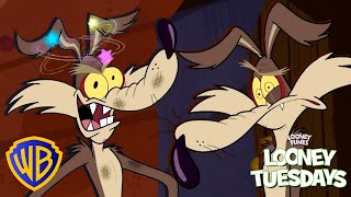Wile E. Coyote CRASHES OUT on Road Runner! π€ | Looney Tuesdays | #kidscartoons @wbkids