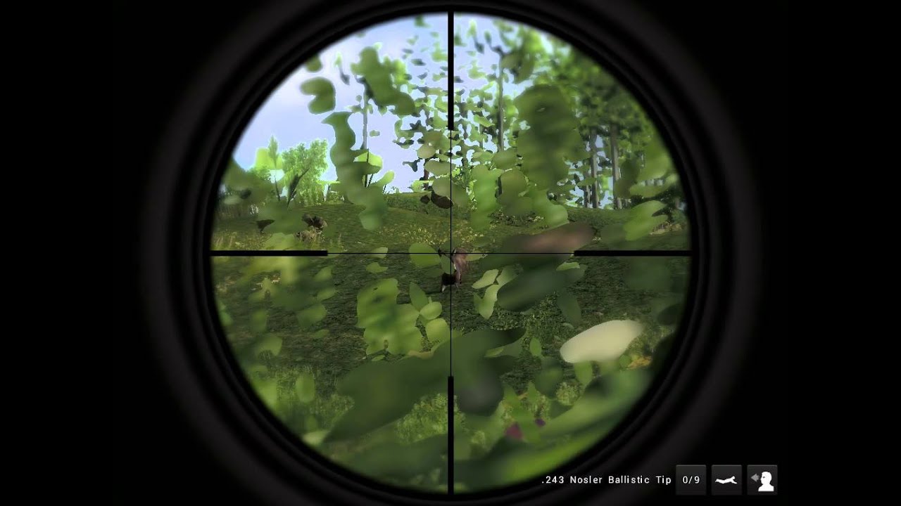 theHunter 2014 beautiful heartshot