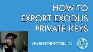 How To Export Exodus Wallet Private Keys (Quick and Easy Guide) Profile